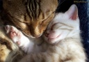 Precious Moments
