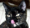 Tongue Talent
