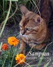 Sampson 1/15/2004 - 6/23/2017